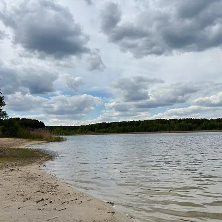 Paradise * Zgnilocha